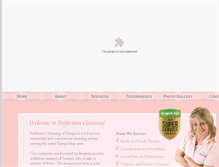 Tablet Screenshot of perfectioncleaningtampa.com